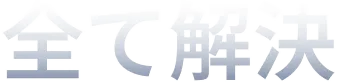 解決